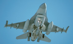 Lockheed-Martin F-16D Fighting Falcon