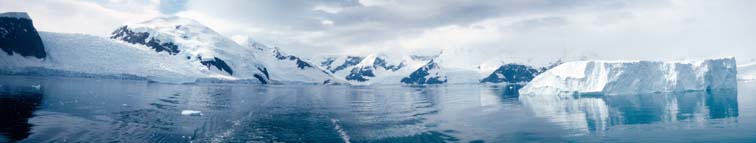 Antarctic Voyage on the MV Hanseatic