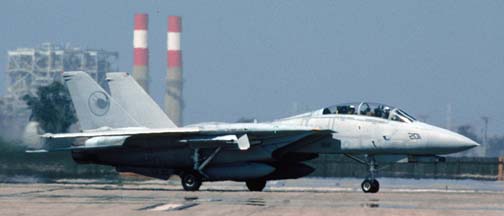 Grumman F-14D Tomcat, VX-30 #201