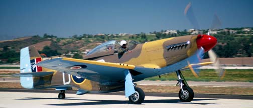 North American P-51D, N151DP Cottonmouth 