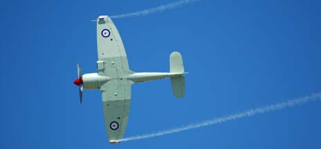 Hawker Sea Fury FB Mk II, N260X