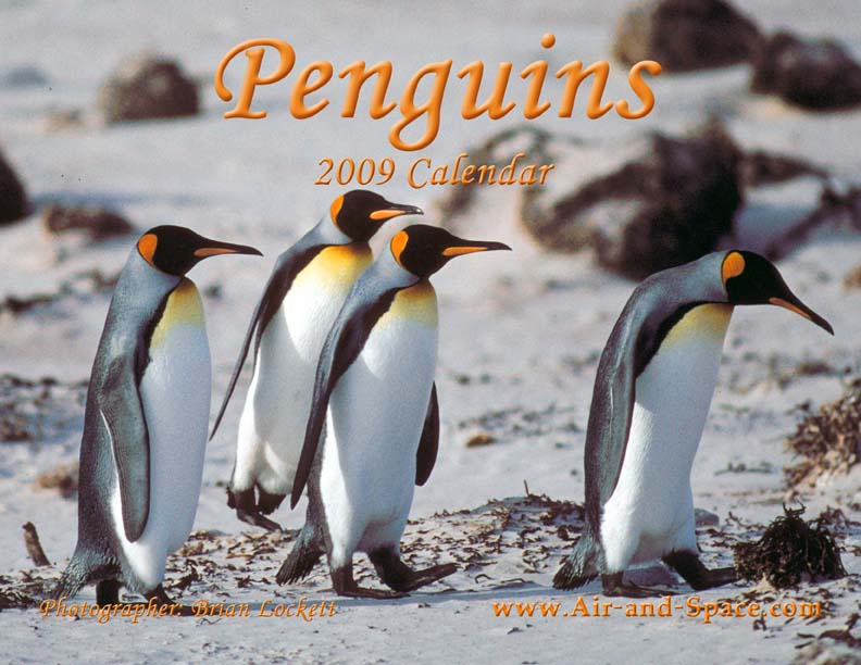 Lockett Books Calendar Catalog: Penguins