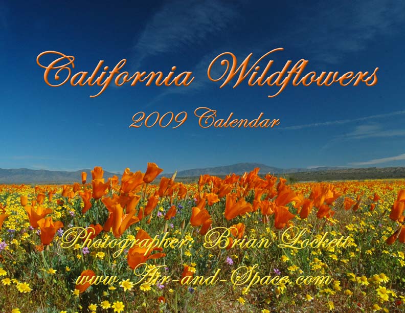 Lockett Books Calendar Catalog: California wildfowers