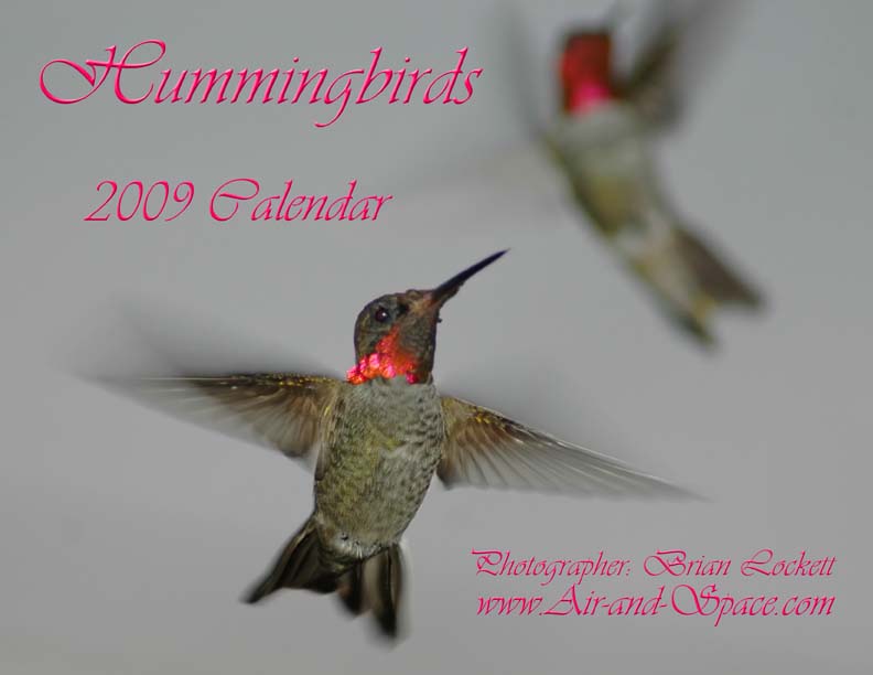 Lockett Books Calendar Catalog: Hummingbirds