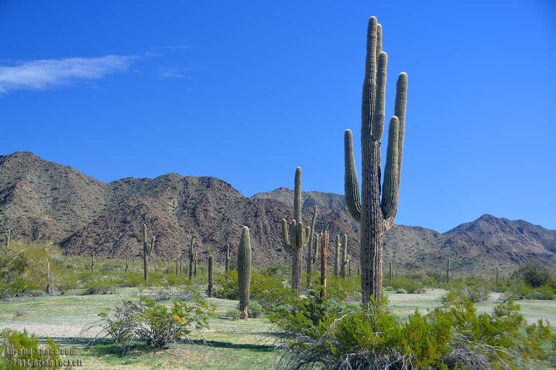 Air-and-Space.com: Sonoran Desert National Monument, January 28, 2014