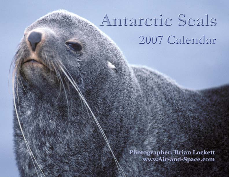 Lockett Books Calendar Catalog: Antarctic Seals