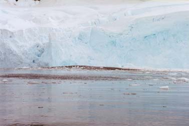 Icefall at Andvord Bay