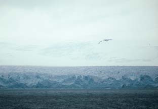 Glacier near Cape Lookout 