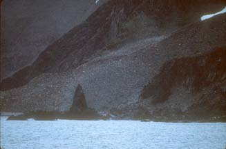 Penguin Rookery at Cape Lookout 