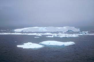 Iceberg in the Weddell Sea