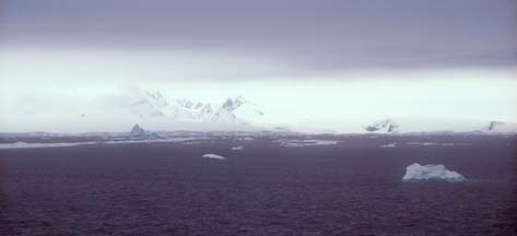 Antarctic Sound 