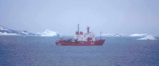 Antarctic Sound 