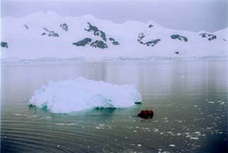 New iceberg in Andvord Bay