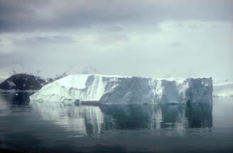 Young Iceberg in Andvord Bay