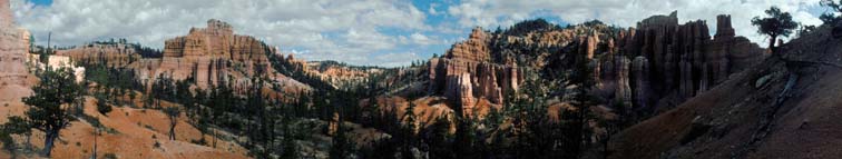 PAN007 Fairyland Trail, Bryce Canyon #1 8.2" x 42" $33.00