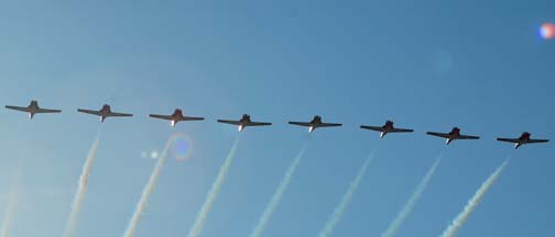 Canadair CT-114 Tutor, Canadian Snowbirds